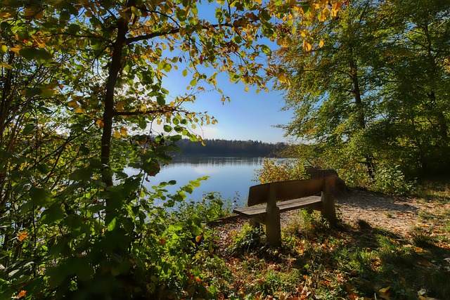 揭开这份重 揭开这份重
