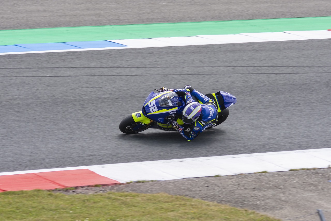 D优化组织 D优化组织